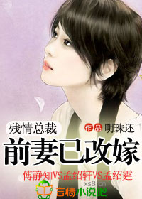 总裁追回前妻