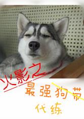 火影之最强代练