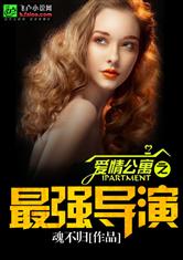 完美娱乐最强导演