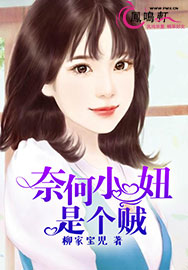 奈何小妞是个贼