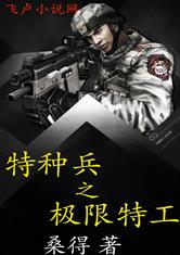 特种兵之极限特工