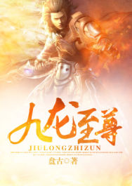 九龙至尊