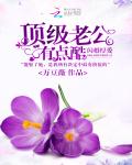 闪婚厚爱:顶级老公有点酷