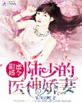 甜蜜婚令：陆少的医神娇妻