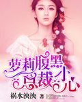 总裁养妻为患