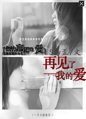无法言语的爱：再见了我的爱