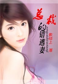 总裁的错逃妻