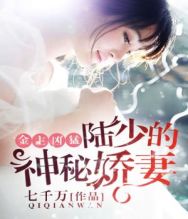 金主凶猛：陆少的神秘娇妻
