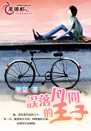 误落凡间的王子