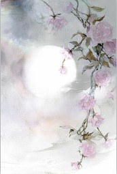绝色准妃