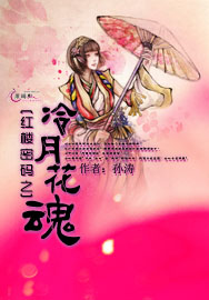 红楼密码之冷月花魂