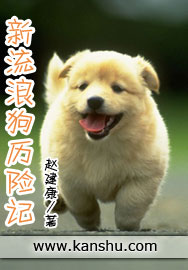 新流浪狗历险记