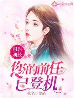 报告机长:您的前任已登机